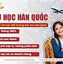 Chúc Mừng Sinh Nhật Tiếng Hàn Cho Người Yêu