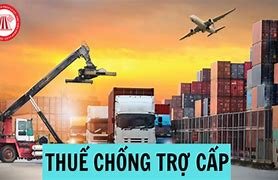 Thuế Chống Trợ Cấp Ví Dụ